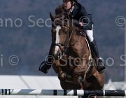 Clayton Mr Darcy TosTour2013- S5 2743 : Arezzo, Arezzo Equestrian Centre, Clayton Joseph, Mr Darcy, Toscana Tour 2013, foto di Stefano Secchi ©